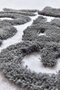 Mijölnir Juego de Alfombras de Baño Great - White (3 Piezas)